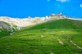 The sheep on the mountains in summer grassland Royalty Free Stock Photo