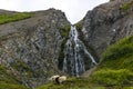 Sheep in the mountains and a waterfall in the background. Mountain landscape Royalty Free Stock Photo