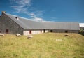 Sheep and old stone barn Royalty Free Stock Photo