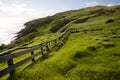 Sheep Pasture - Port Jackson - New Zealand