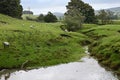 Sheep Pasture by River Ure, Haylands Bridge, Hawes, North Yorkshire, England, UK Royalty Free Stock Photo