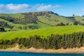 Sheep and pastures in the New Zealand Royalty Free Stock Photo