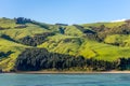 Sheep and pastures in the New Zealand Royalty Free Stock Photo