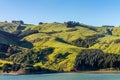 Sheep and pastures in the New Zealand Royalty Free Stock Photo