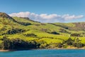 Sheep and pastures in the New Zealand Royalty Free Stock Photo