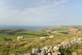 Sheep on path, Swyre Head Royalty Free Stock Photo
