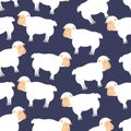 Sheep pattern. ewe ornament. Flock of sheeps. Farm animal background. Texture for baby cloth Royalty Free Stock Photo