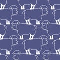 Sheep pattern. ewe ornament. Flock of sheeps. Farm animal Royalty Free Stock Photo