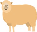 Sheep Cartoon