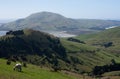 A sheep posing in the foreground in Otago Peninsula near Dunedin in New Zealand Royalty Free Stock Photo