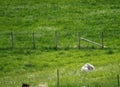 Peaceful countryside near Hardangerfjord, Norway