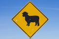 Sheep Road Sign Royalty Free Stock Photo