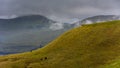 Sheep in the rugged landscape in Faroe Islands