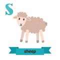 Sheep. S letter. Cute children animal alphabet in vector. Funny