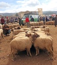 Tuesday Souk In Azrou, Morocco