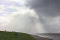 Sheep on sea near the Wadden Sea under a stormy sky Royalty Free Stock Photo