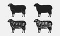 Sheep set. Sheep silhouette. Mutton - butcher diagram template.