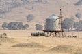 Sheep in shade of water tank