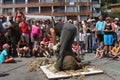 Sheep Shearing