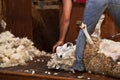 Sheep shearing - New Zealand Royalty Free Stock Photo