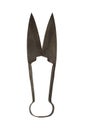 Sheep Shears. Vintage Rusted Scissors Isolated On White Royalty Free Stock Photo