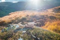 Sheep Skeleton on Mountain Top in Lake District