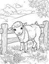 Sheep Standing in Front of Fence Royalty Free Stock Photo