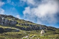 Sheep standing on the hill, surrounded by Lewisian gneiss rocks Royalty Free Stock Photo