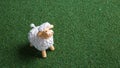 Sheep toy in the grass carpet