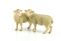 Sheep toy isolated on white Royalty Free Stock Photo