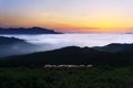 Sheep at twilight in Saibi mountain Royalty Free Stock Photo