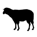 Sheep vector black silhouette Royalty Free Stock Photo
