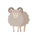 Sheep vector flat illustration isolated on white background. Farm animal lamb cartoon character. Royalty Free Stock Photo