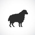 Sheep vector icon