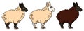 Sheep