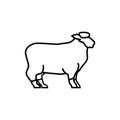 sheep. Vector illustration decorative design