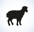 Sheep. Vector sketch Royalty Free Stock Photo