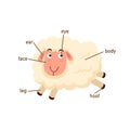 Sheep vocabulary part of body.vector