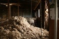 sheep waiting overnight to be shorn in an old traditional timber shearing shed on a family farm in rural Victoria, Australia Royalty Free Stock Photo