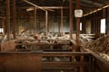 sheep waiting overnight to be shorn in an old traditional timber shearing shed on a family farm in rural Victoria, Australia Royalty Free Stock Photo
