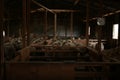 sheep waiting overnight to be shorn in an old traditional timber shearing shed on a family farm in rural Victoria, Australia Royalty Free Stock Photo