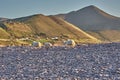 Sheep walking at the beach during sunset in Rossbeigh, Ireland. Sheep walking in the sunset. Colorful hills in the sunset with