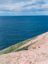 Sheep walking on the hill ocean and cloudy blue sky on the background Royalty Free Stock Photo