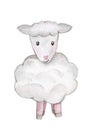 Lamb Sheep Watercolor Illustration. Hand drawn cartoon young sheep set isolated on white background. Cute illustration of animal f Royalty Free Stock Photo