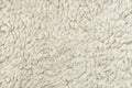 Sheep White Wool Background Texture