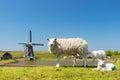 Sheep and windmill at Dutch island Texel Royalty Free Stock Photo