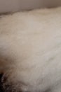 Sheep wool batts Royalty Free Stock Photo