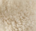 Sheep wool, fragment, color and texture Royalty Free Stock Photo