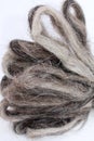 Sheep Wool Roving Royalty Free Stock Photo