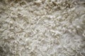 Sheep wool texture